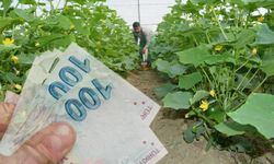 Eski hükümlülere 2 ayda 68,7 milyon lira hibe desteği