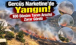 Gercüş Narketine’de Yangın! 100 Dönüm Tarım Arazisi Zarar Gördü