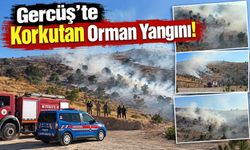 Gercüş’te Korkutan Orman Yangını!