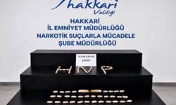 Hakkari'de İran uyruklu 2 şüphelinin midesinden 763 gram eroin çıktı