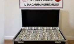 İstanbul'da 2 milyon 890 bin sahte ABD doları ele geçirildi