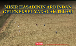 Mısır Hasadının Ardından Geleneksel Yakacak Telaşı