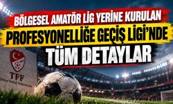 Bölgesel Amatör Lig Yerine Kurulan Profesyonelliğe Geçiş Liginde Tüm Detaylar