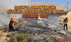 Sason’da Orman Yangını: Köylüler Alevlere Karşı Seferber Oldu