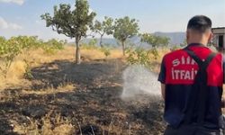 Siirt'te bağ yangınında 33 fıstık ağacı ile onlarca meyve ağacı zarar gördü