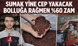 SUMAK YİNE CEP YAKACAK: BOLLUĞA RAĞMEN %60 ZAM