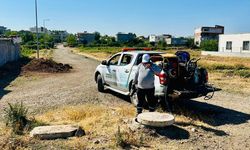 Batman’da ilaçlama ve larva mücadelesi sürüyor