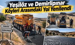 Yeşilöz ve Demirlipınar Köyleri Arasındaki Yol Yenilendi