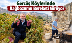 Gercüş Köylerinde Bağbozumu Bereketi Sürüyor