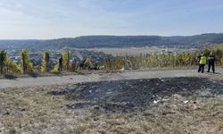Almanya'da küçük uçak düştü: 2ölü