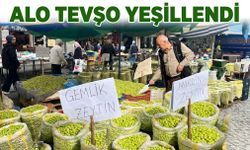 ALO TEVŞO YEŞİLLENDİ