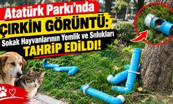 Atatürk Parkı’nda Çirkin Görüntü: Sokak Hayvanlarının Yemlik ve Sulukları Tahrip Edildi!