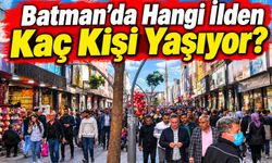 Batman'da hangi ilden kaç kişi yaşıyor? İşte tam liste