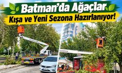 Batman’da Ağaçlar Kışa ve Yeni Sezona Hazırlanıyor!