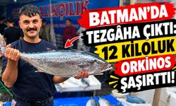Batman’da Tezgâha Çıktı: 12 Kiloluk Orkinos Şaşırttı!