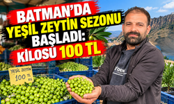 Batman’da Yeşil Zeytin Sezonu Başladı: Kilosu 100 TL