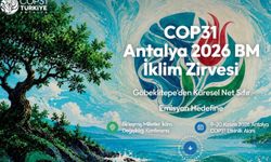 COP31 öncesi iklim politikaları tartışmaları