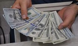 Dolar 50 lira sınırına dayandı