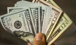 Dolar iki haftanın zirvesine yakın