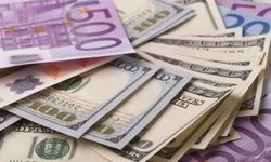 Döviz piyasalarında son durum: Dolar 49,20, euro 55,30 TL seviyesinde