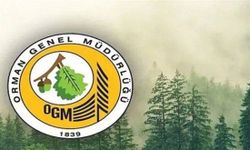 Orman Genel Müdürlüğü 12 Müfettiş Yardımcısı Alacak
