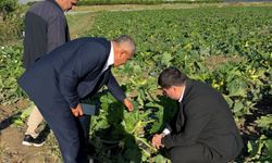 HÜDA PAR Antalya İl Başkanı Durmaz, tarım arazileri zarara uğrayan çiftçilerle bir araya geldi