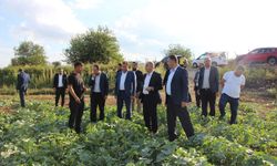 HÜDA PAR Milletvekili Demir: Verimli topraklarımız sahipsiz bırakılıyor