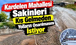 Kardelen Mahallesi Sakinleri Kış Gelmeden Yolların Onarılmasını İstiyor