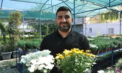 Kasımpatı Kış Aylarının Gözdesi