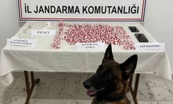 Komşu ilde uyuşturucu operasyonu: 2 bin 650 hap ele geçirildi
