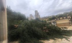 Mardin'de sağanak yağış hayatı olumsuz etkiledi