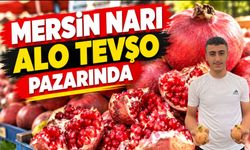 Mersin Narı Alo Tevşo Pazarında