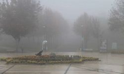 Meteoroloji'den sağanak ve sis uyarısı: Sıcaklıklar düşüyor