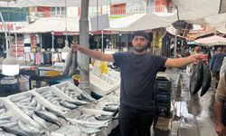 Yağmur Bereketi Balık Fiyatlarını Düşürdü