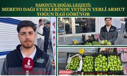 SASON'UN DOĞAL LEZZETİ: MERETO DAĞI ETEKLERİNDE YETİŞEN YERLİ ARMUT YOĞUN İLGİ GÖRÜYOR