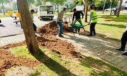 Şirinevler Mahallesi’ndeki İki Park Yenileniyor