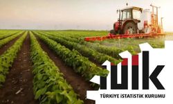 Tarım Ürünleri Üretici Fiyat Endeksi eylülde yıllık yüzde 12,93 arttı