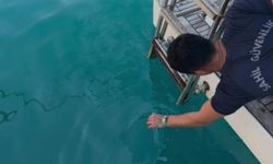 Yalova'da kirli suyun Marmara Denizi'ne ulaşmasına 5 milyon 344 bin TL ceza
