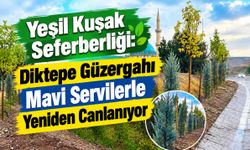 Yeşil Kuşak Seferberliği: Diktepe Güzergahı Mavi Servilerle Yeniden Canlanıyor