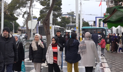 Sahipsiz hayvanlar için belediyelere para cezası uygulanmasına halktan destek