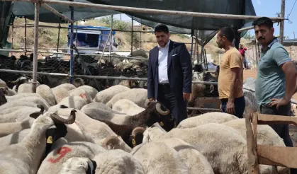 HÜDA PAR Antalya İl Başkanı Durmaz, bayram öncesi kurban pazarını ziyaret etti
