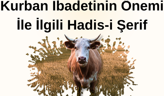 Kurban ibadetinin önemi ile ilgili bir hadis araştırınız ve bu hadisi defterinize yazınız