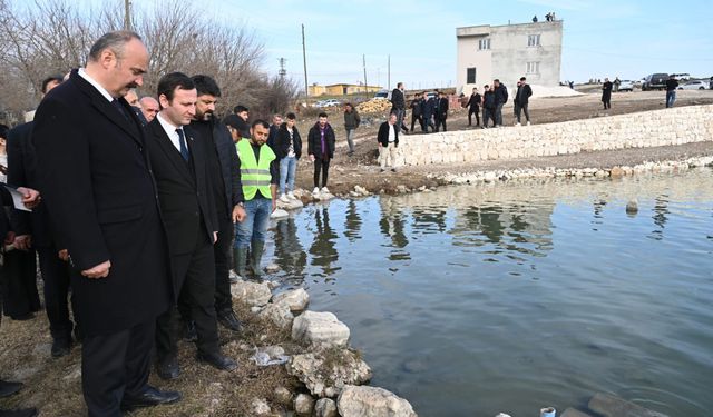 Kozluk Balıklı Göl Turizme Kazandırılıyor