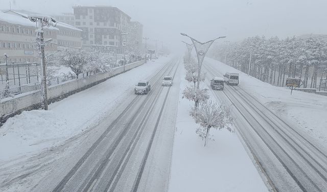 Bitlis’te kar onlarca köy yolunu kapattı