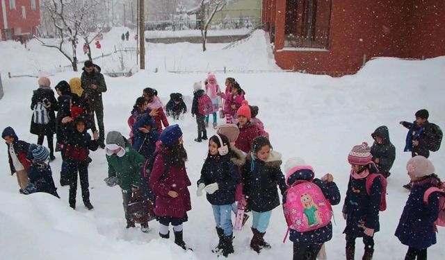 Kar yağışı nedeniyle eğitime ara verilen iller