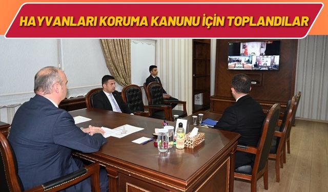 Hayvanları Koruma Kanunu İçin Toplandılar