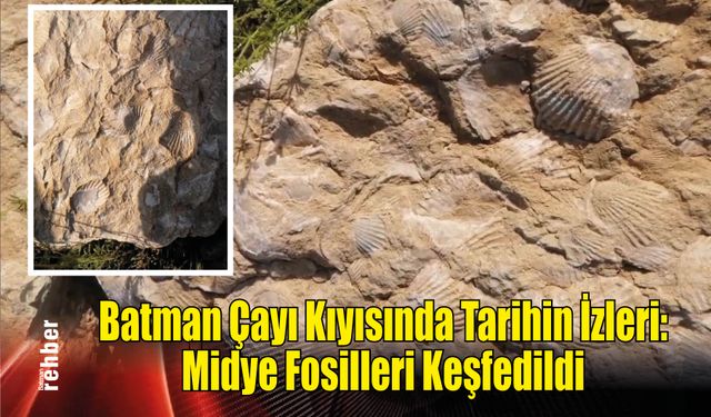 Batman Çayı Kıyısında Tarihin İzleri:  Midye Fosilleri Keşfedildi