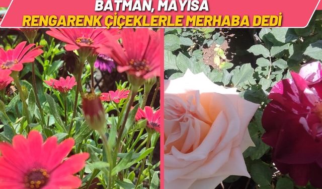 Batman Mayısa Rengarenk Çiçeklerle Merhaba Dedi