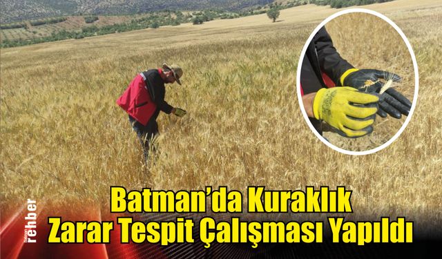 Batman’da Kuraklık Zarar Tespit Çalışması Yapıldı