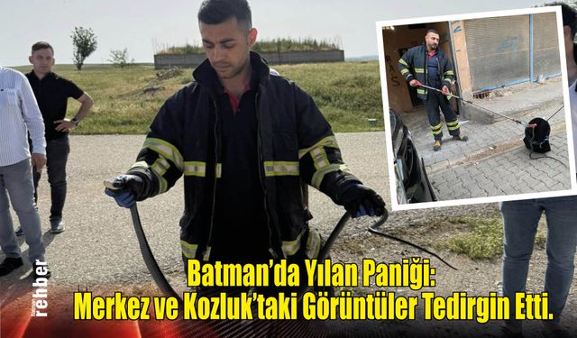 Batman'da Yılan Paniği, Merkez ve Kozluk'taki Görüntüler Tedirgin Etti.